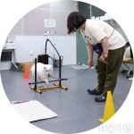 [서울 트렌드] 멍이·냥이 모두 행복한 세상 > 서울사랑 > 서울이야기 > 시민소통 > 정보소통광장 [서울 트렌드] 멍이·냥이 모두 행복한 세상