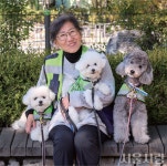 [서울 트렌드] 멍이·냥이 모두 행복한 세상 > 서울사랑 > 서울이야기 > 시민소통 > 정보소통광장 [서울 트렌드] 멍이·냥이 모두 행복한 세상