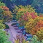 [매력 명소] 나랑 서울 캠핑 가지 않을래? > 서울사랑 > 서울이야기 > 시민소통 > 정보소통광장