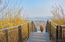 [서울 스타일] 꽃과 함께 봄을 걷다 > 서울사랑 > 서울이야기 > 시민소통 > 정보소통광장 [서울 스타일] 꽃과 함께 봄을 걷다