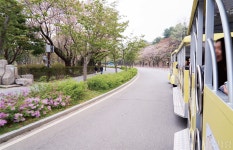 [서울 스타일] 영원한 아이들의 꿈동산, 서울의 놀이공원 > 서울사랑 > 서울이야기 > 시민소통 > 정보소통광장
