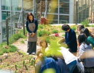 [동행 서울] 반려식물이 아플 땐 우리 동네 반려식물클리닉센터로... 정보소통광장 [동행 서울] 반려식물이 아플 땐 우리 동네 반려식물클리닉센터로