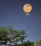 [서울 스타일] 한강에서 활기찬 시간을 > 서울사랑 > 서울이야기 > 시민소통 > 정보소통광장