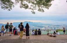 [매력 명소] 도심과 남산을 숲으로 잇다 > 서울사랑 > 서울이야기 > 시민소통 > 정보소통광장 [매력 명소] 도심과 남산을 숲으로 잇다