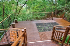 [매력 명소] 도심과 남산을 숲으로 잇다 > 서울사랑 > 서울이야기 > 시민소통 > 정보소통광장 [매력 명소] 도심과 남산을 숲으로 잇다