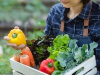 [서울 트렌드] 우리들의 계절 기록, 제철 코어 > 서울사랑 > 서울이야기 > 시민소통 > 정보소통광장 [서울 트렌드] 우리들의 계절 기록, 제철 코어