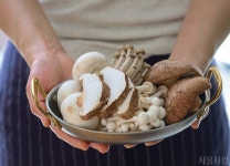 [서울 트렌드] 우리들의 계절 기록, 제철 코어 > 서울사랑 > 서울이야기 > 시민소통 > 정보소통광장 [서울 트렌드] 우리들의 계절 기록, 제철 코어