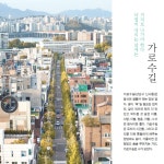 [서울 풍경] 낙엽비 내리는 날에는 거리로 나가야 한다 신사동 가로수길 > 서울사랑 > 서울이야기 > 시민소통 > 정보소통광장