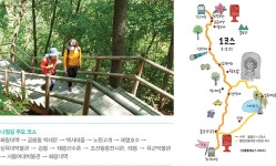 [서울 둘레길] 도심 속 치유, 반나절이면 충분하다 > 서울사랑... 시민소통 > 정보소통광장 [서울 둘레길] 도심 속 치유, 반나절이면 충분하다