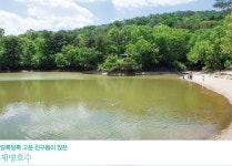 [서울 둘레길] 도심 속 치유, 반나절이면 충분하다 > 서울사랑... 시민소통 > 정보소통광장 [서울 둘레길] 도심 속 치유, 반나절이면 충분하다