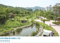 [서울 둘레길] 서울을 닮은 녹색 쉼터 > 서울사랑 > 서울이야기 > 시민소통 > 정보소통광장