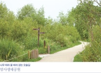 [서울 둘레길] 서울 도심 속 오솔길을 걷다 > 서울사랑 > 서울이야기 > 시민소통 > 정보소통광장