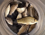 청춘어락 > 충주 모점낚시터 : 낚시사랑