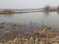 야간침투 > 남한강 한강 : 낚시사랑