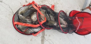 장수목장 > 집사람과낚시 : 낚시사랑