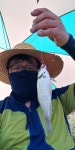 투어림 > 낮에도 마릿수! 단 15cm only! : 낚시사랑