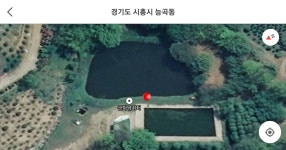 사구팔_서울금천 > 군자낚시터 100수 조행기 입니다. : 낚시사랑