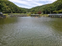 철옥에도윤 > 화성 초당낚시터 : 낚시사랑