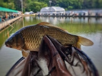 철옥에도윤 > 화성 신촌낚시터 : 낚시사랑