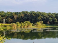 Robinhood > 형님과의 촬영 동출 : 낚시사랑