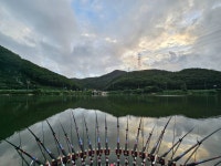 Robinhood > 댐처럼 생긴 저수지에 다녀왔어요. : 낚시사랑