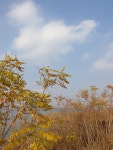 서해안낚시 통신원속보 > 남양호 대물붕어~☆ : 낚시사랑