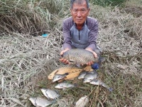 춘천강변낚시 통신원속보 > 가을 오름수위에 조황입니다. : 낚시사랑