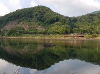 자유오름 > 철원군 잠곡지 마감. : 낚시사랑