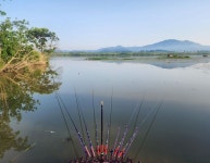 냉면 > 상주 마감 : 낚시사랑