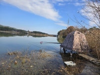 월척수배 > 전남 광주 평동저수지 마감 : 낚시사랑