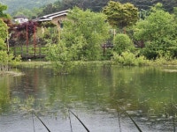 공간v > 음성 용산지 마감 : 낚시사랑