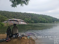 인천사랑. > 안성소류지 마감 : 낚시사랑