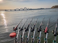 매주힐링 > 아산호 구성리 마감 : 낚시사랑