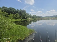 까멜레온 > 송호지 마감 : 낚시사랑