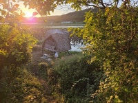 대물승부사 독수리 > 안면도 길우지 마감 : 낚시사랑