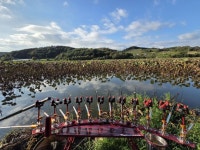 대물승부사 독수리 > 안면도 길우지 마감 : 낚시사랑