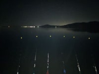 솔바람소리 > 아산호 새벽 짬낚시 마감 : 낚시사랑