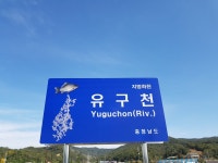 필드붕어 민물낚시 노지조행기 > 여산에서 : 낚시사랑