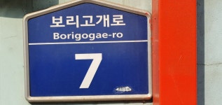 성산포꾼 민물낚시 노지조행기 > 강화도 쪽수로 : 낚시사랑