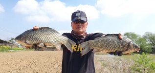 낚사3833 민물낚시 노지조행기 > 남도 대물들의 반란 : 낚시사랑