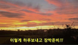 오짜붕어야. 민물낚시 노지조행기 > 대야제 도전기 : 낚시사랑