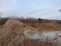 붕어부자만수르 민물낚시 노지조행기 > 와이리 좋노 ~.^ : 낚시사랑