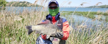 아산둔포전투낚시점 > 아산호 46까지 20여수 : 낚시사랑