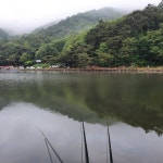 어라 > 분위기만 좋은 명암낚시터 : 낚시사랑