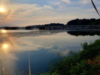 고잔떨거지 > 고잔 저수지 입구최상류(23.9.2) : 낚시사랑