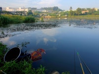 고잔떨거지 > 고잔 저수지 입구최상류(23.9.2) : 낚시사랑