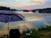 고잔떨거지 > 고잔 저수지 입구최상류(23.9.2) : 낚시사랑
