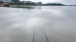 고잔떨거지 > 고잔 저수지 손맛터 화장실앞(23.9.30) : 낚시사랑