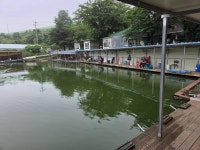 레스비그란데 > 양석낚시터 조행기 : 낚시사랑