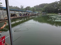 레스비그란데 > 양석낚시터 조행기 : 낚시사랑